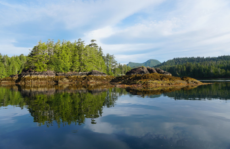 Scenic view at Walters Cove Resort.