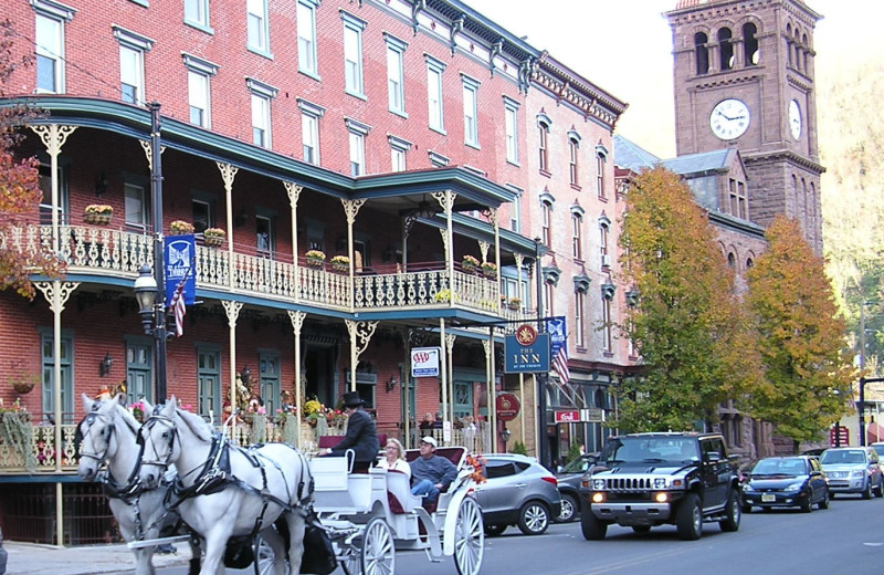 Horse carriage ride near The Woodlands.