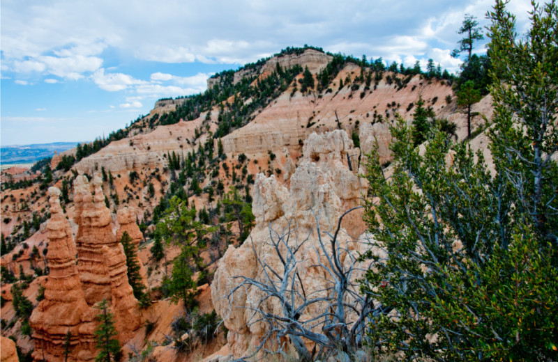 Canyon view at Bryce View Lodge.