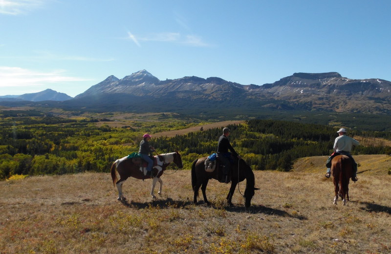 Horseback riding at Bear Creek Ranch.