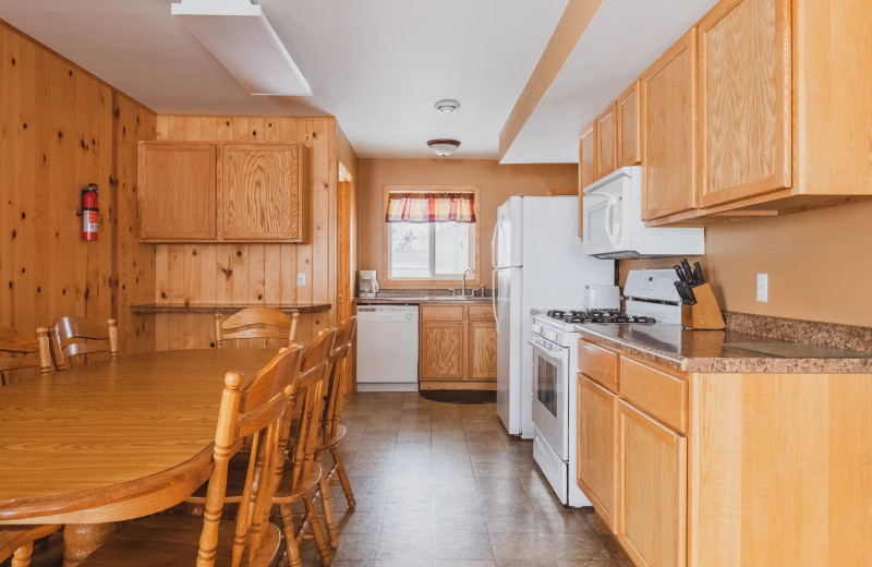 Condo kitchen at Shady Grove Resort.