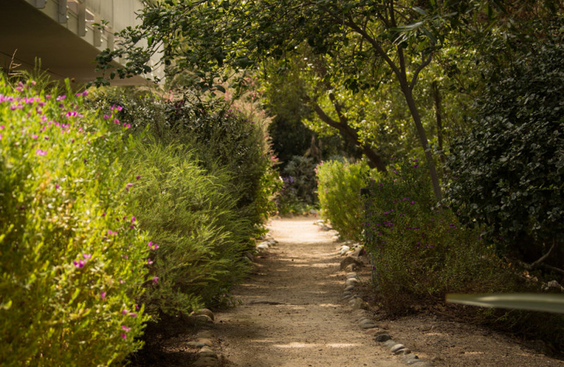 Path at Carmel River Inn.