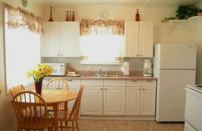 Suite kitchen at Weiss' Paradise Suites.