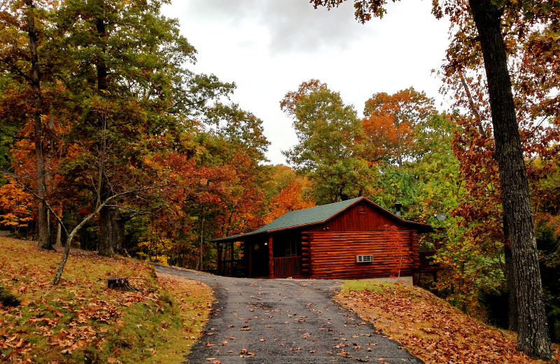 Cabin exterior at Lake Forest Luxury Log Cabins.