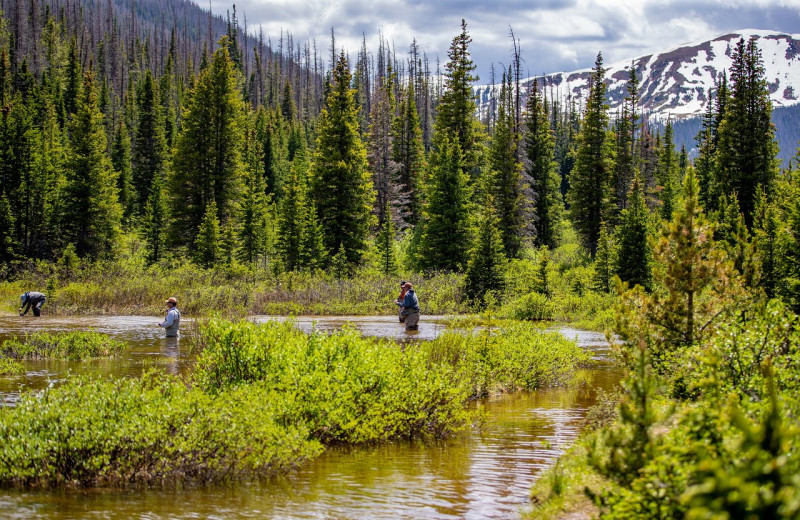 Fishing at Rawah Guest Ranch.