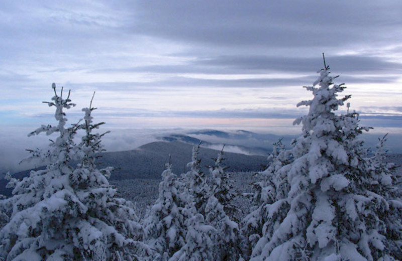 Snow covered landscape at The Mountain Inn.