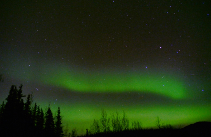 Aurora at Gwin's Lodge & Kenai Peninsula Charter Booking Service.