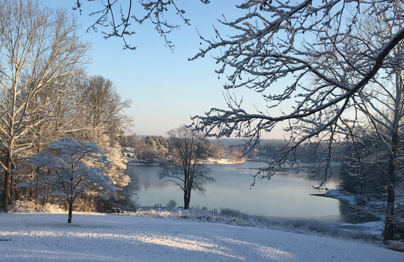 Winter at Chateau Lake Logan.