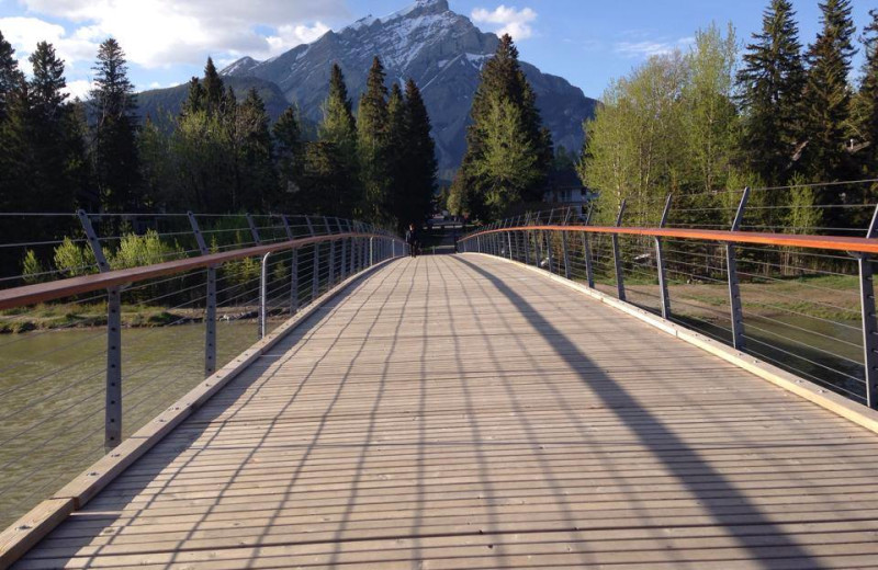 Mountain view at Banff Rocky Mountain Resort.