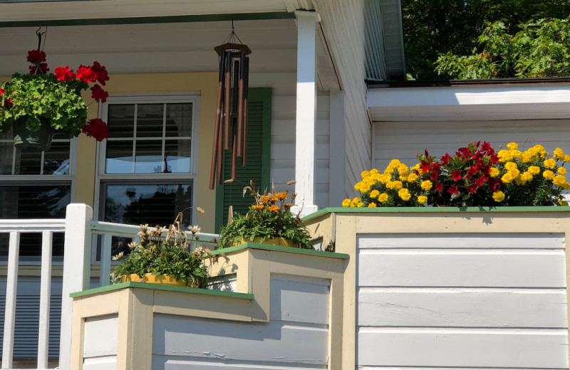 Garden at Mount Battie Motel.