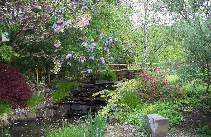 Garden at Scappoose Creek Inn.