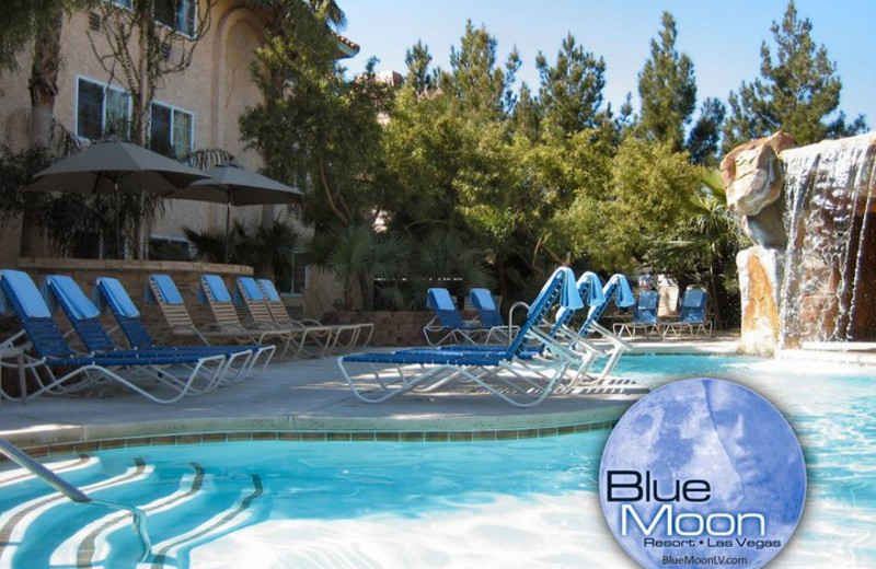 Blue Moon Resort (Las Vegas, NV) Resort Reviews