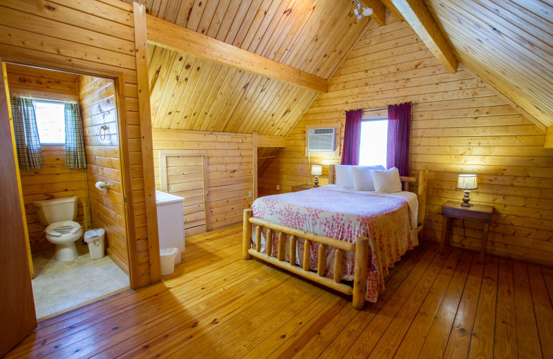 Cabin bedroom at ACE Adventure Resort.