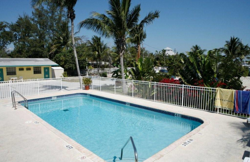 Outdoor pool at Blackfin Resort Motel & Marina.