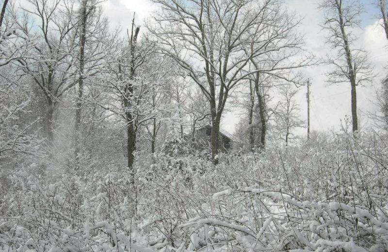 Beautiful Snow at South River Highlands Retreat