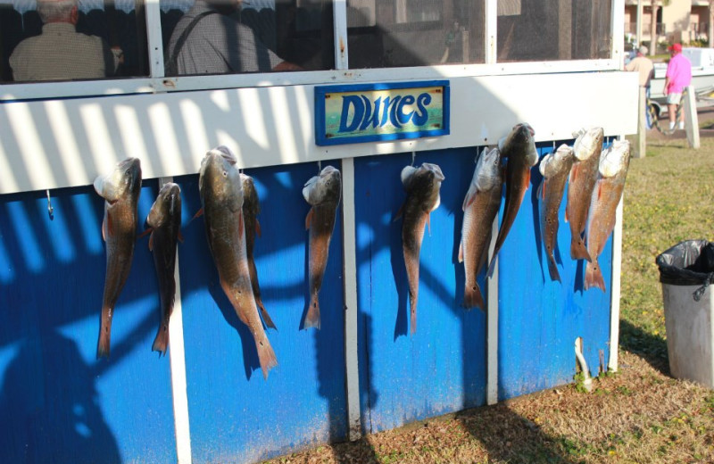 Fishing at The Dunes Condominiums.