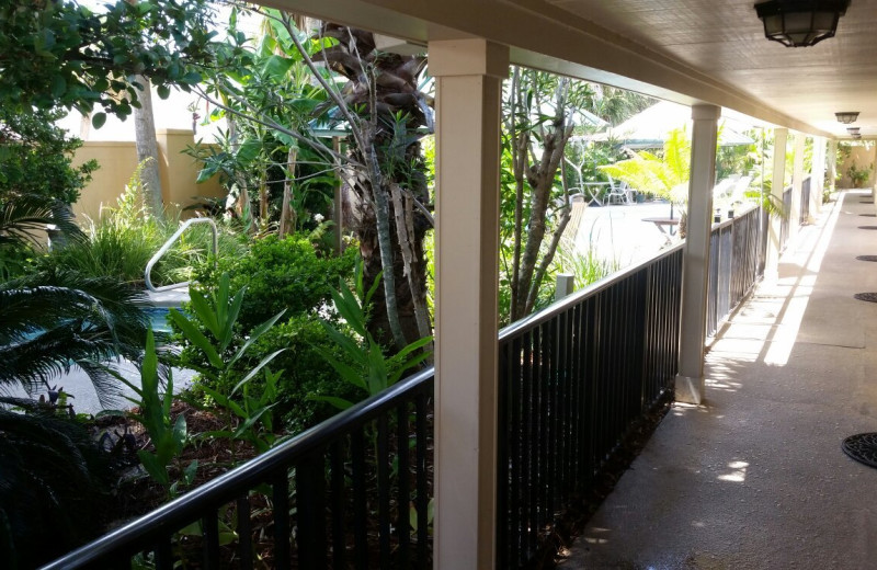 Porch at Wisteria Inn.