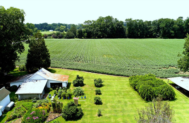 Exterior view of Big Mill Bed 