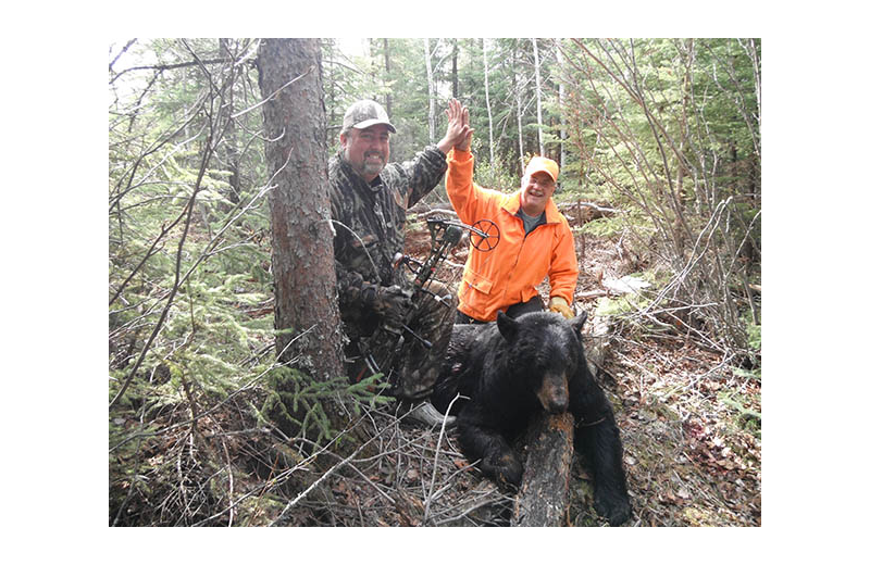 Bear hunting at Pine Point Lodge & Outposts.