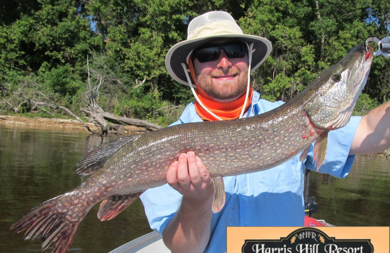 Fishing at Harris Hill Resort.