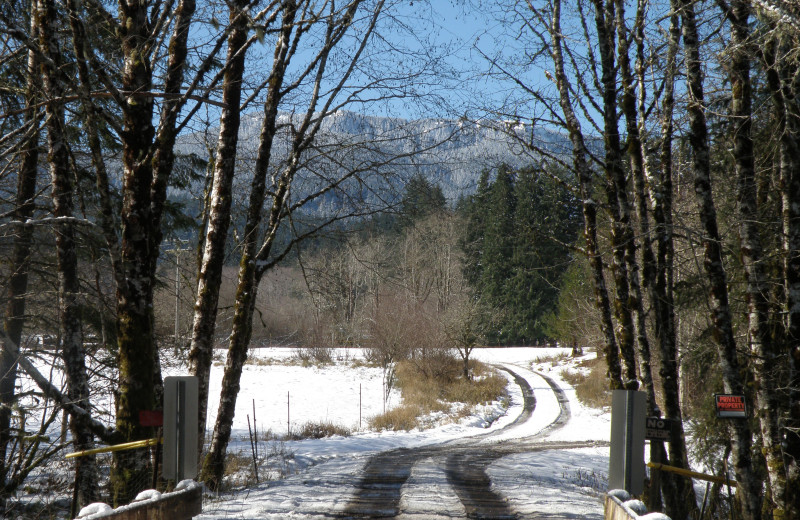 Scenic road at Powder Creek Ranch.