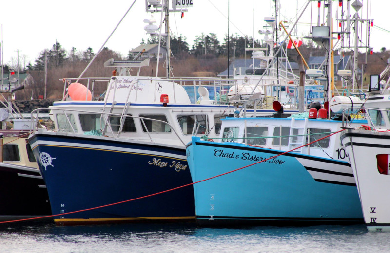 Boats at Brier Island Lodge and Resort.