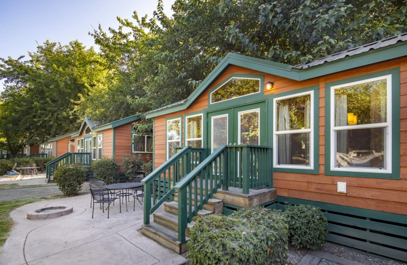 Cabins at Yogi Bear's Jellystone Park Tower Park.