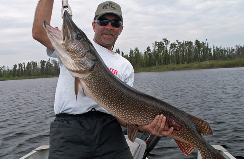 Fishing at Mattice Lake Outfitters