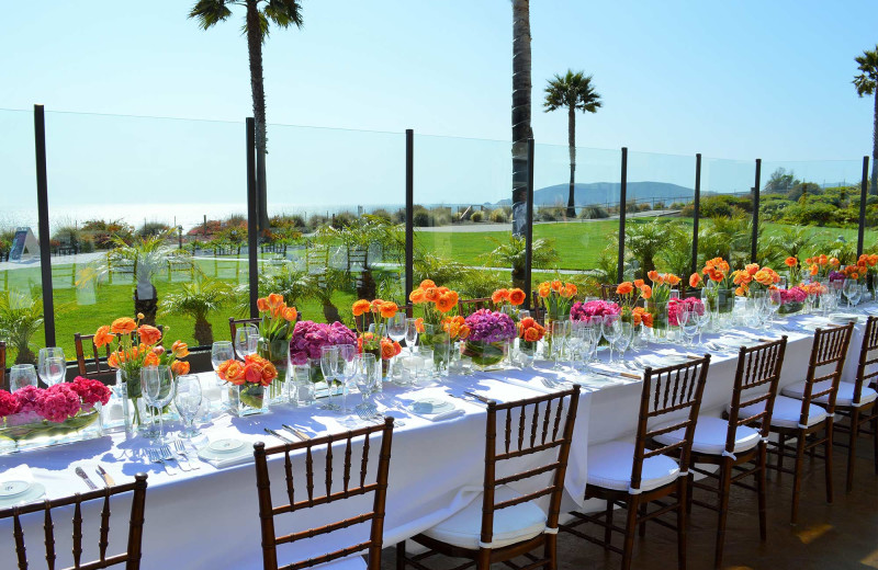 Reception at Dolphin Bay Resort & Spa.