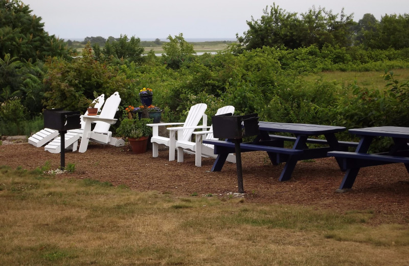 Picnic area at Mariner Resort.