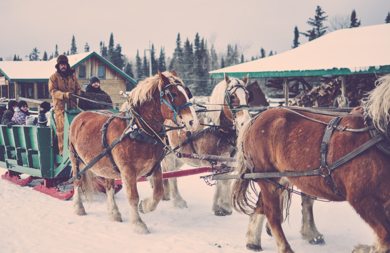 Sleigh ride at Falcon Beach Ranch.