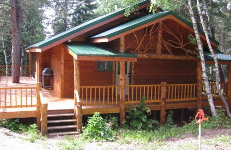 Lead Vacation Rentals - Cabin - Close to the Slopes and ...