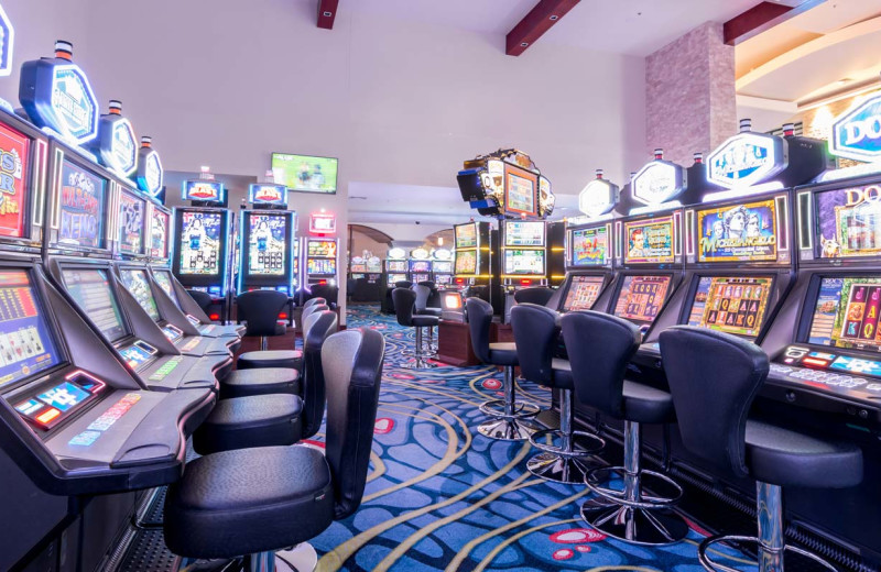 Slot machines at Croc's Resort & Casino.