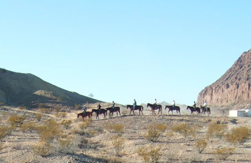 Horseback Riding at Big Bend Overland Tours