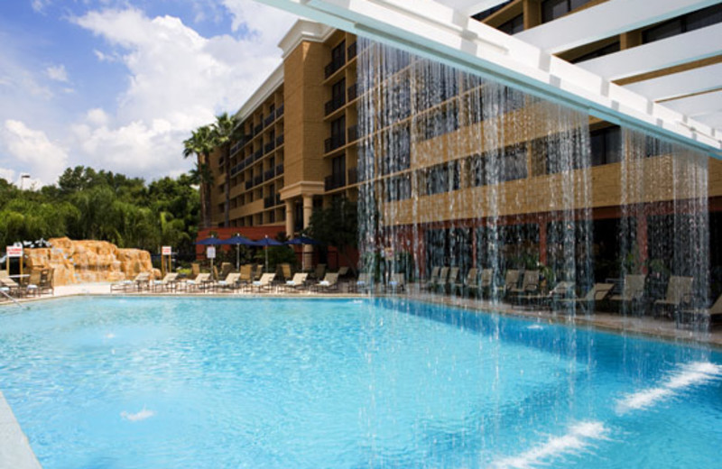 Sheraton Orlando North Hotel (Maitland, FL) Resort Reviews