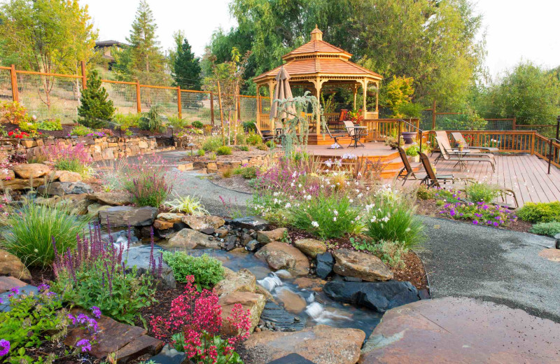 Garden at Country Willows B