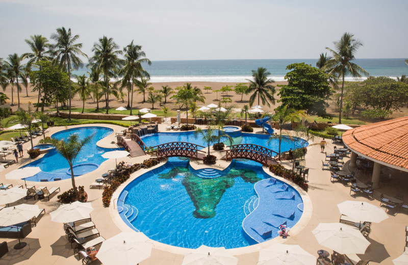 Pool at Croc's Resort & Casino.