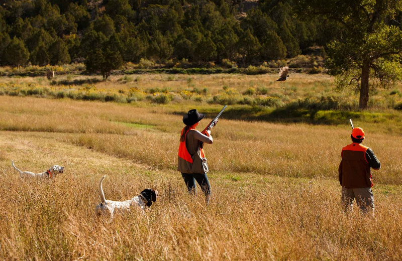 Hunting at Branded Rock Canyon.