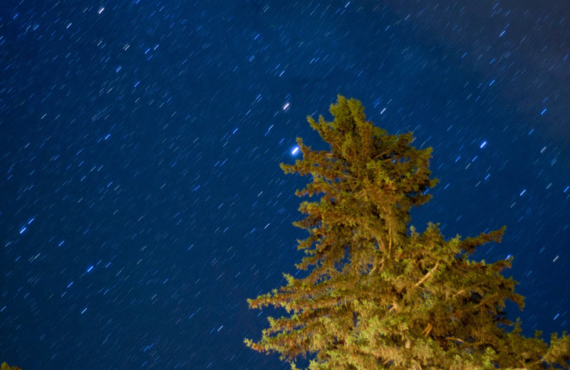 The stars at Lumina Resort.