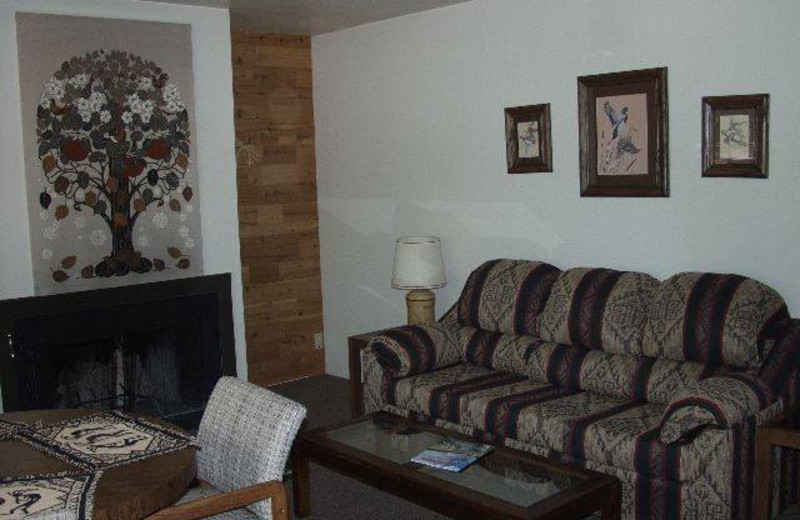 Cabin living room at Buck Springs Resort.