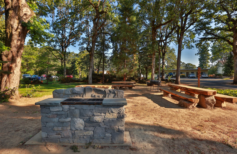 Picnic area at Westcliff Lodge.