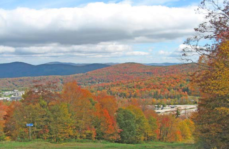 Fall foliage at Birch Ridge Inn.