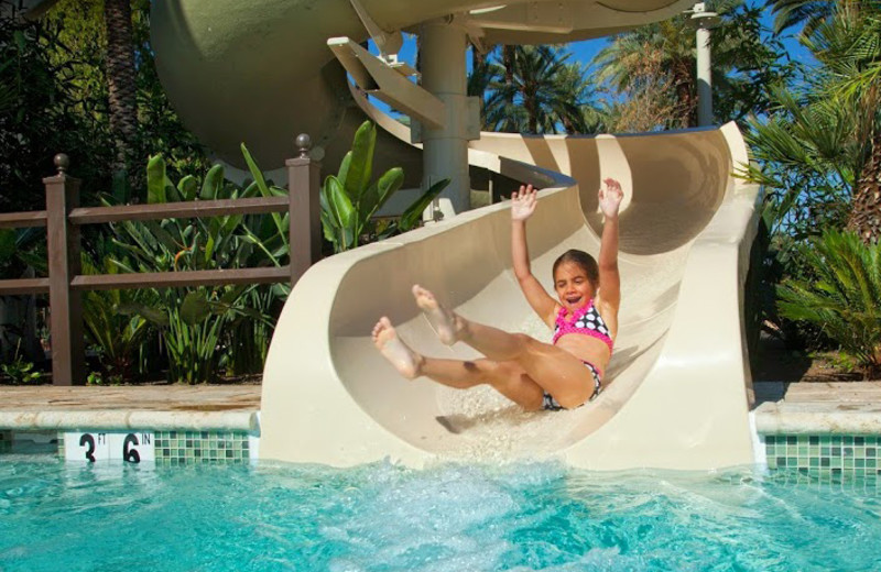 Water slide at The Wigwam Resort.