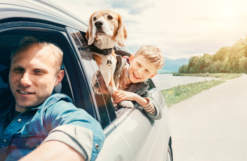 Pets welcome at Inks Lake State Park.