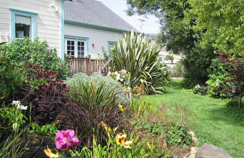 Exterior view of Pescadero Creek Inn.