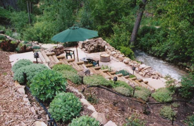 Creek at Bed and Breakfast on Mitchell Creek.