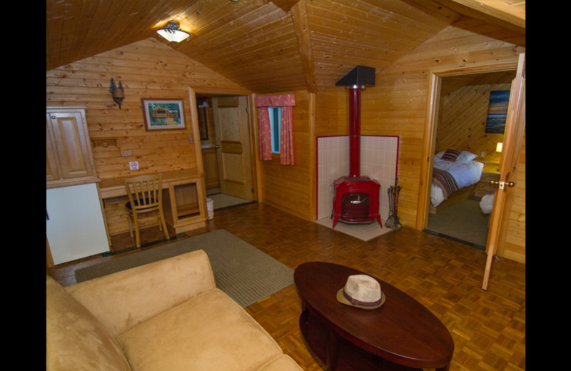 Cabin living room at Obabika Resort.