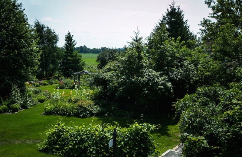 Garden at Strathmere Retreat 