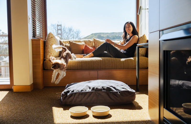 Pets welcome at Cavallo Point Lodge.