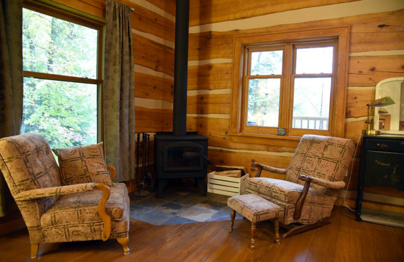 Cabin living room at Wolf Den Hostel and Nature Retreat.